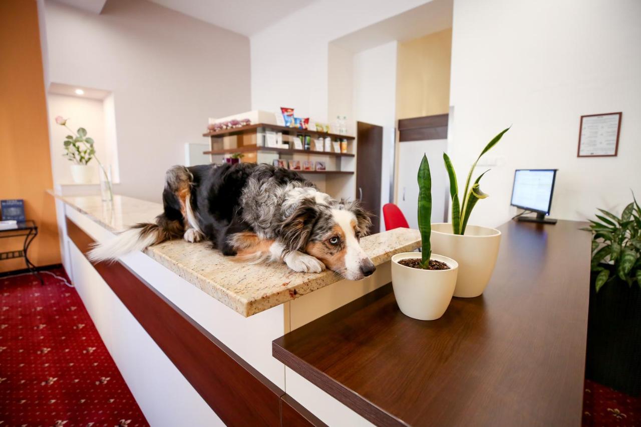 Hotel Tábor Dış mekan fotoğraf